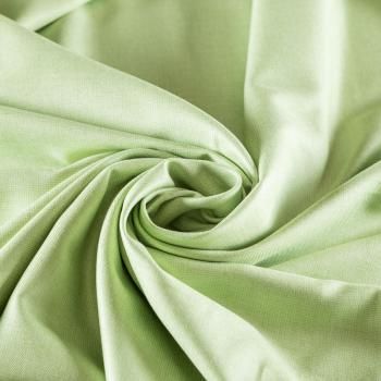 Кашемир 022-02761 салатовый однотонный